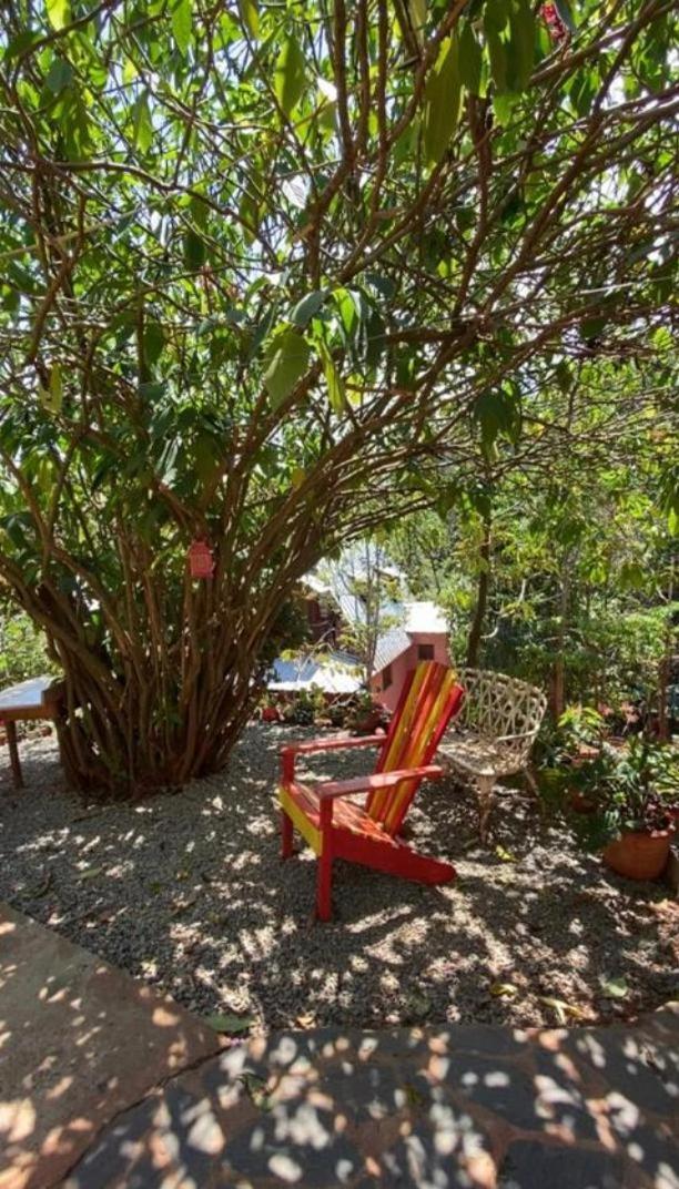 El Campo En Jarabacoa Villa Dış mekan fotoğraf