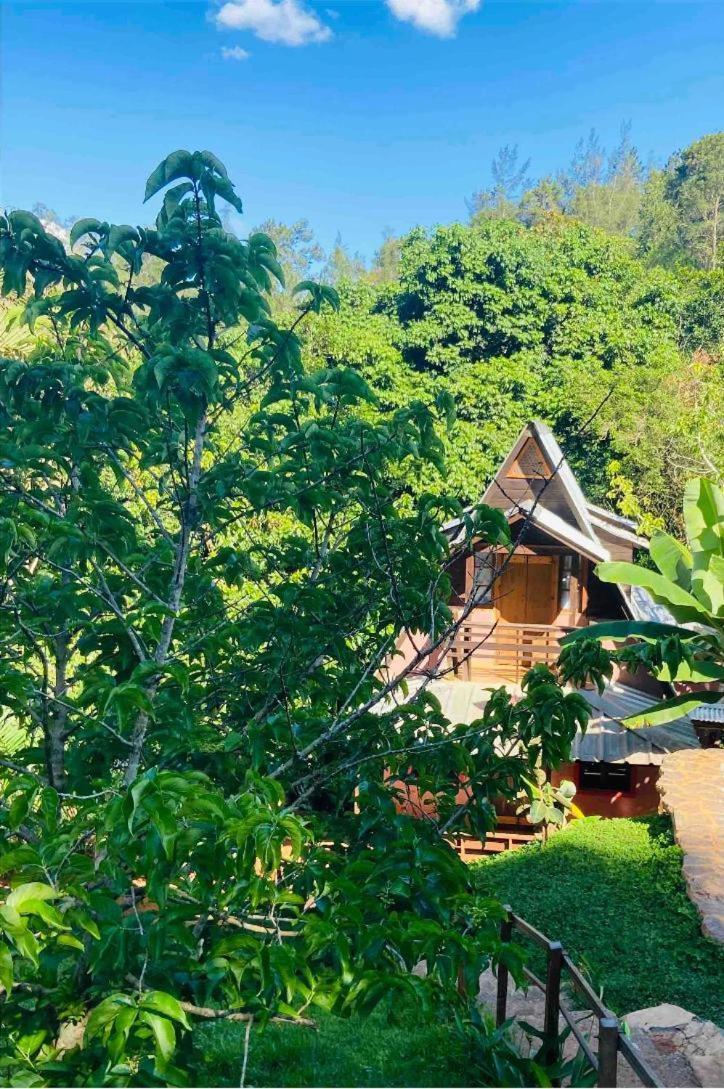 El Campo En Jarabacoa Villa Dış mekan fotoğraf